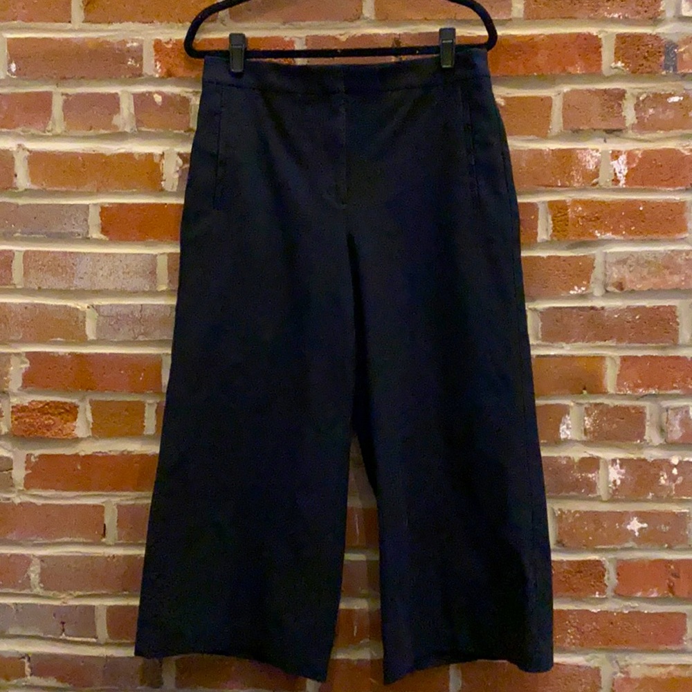 Ann Taylor High Waisted Wide Leg Work Pant
